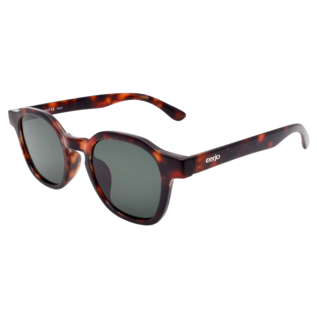 Cerjo Sonnenbrille Slate, dunkelbraun (1 Stk)