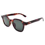 Cerjo Sonnenbrille Slate, dunkelbraun (1 Stk)