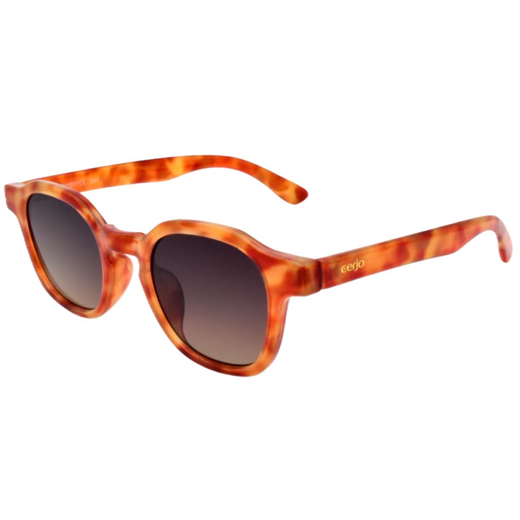 Cerjo Sonnenbrille Slate, hellbraun (1 Stk)