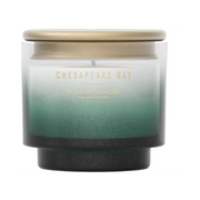 Chesapeake Bay Candle Coastal Snowfall Duftkerze (127g)