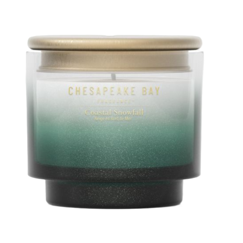 Chesapeake Bay Candle Coastal Snowfall Duftkerze (127g)