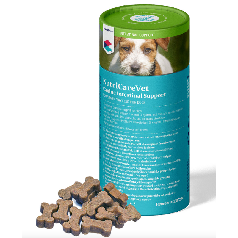 covetrus NutriCareVet Intestinal Support Hund Tabletten (60 Stk)