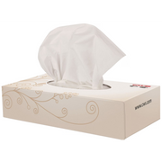 CWS Zellstoff-Kosmetiktücher Tissue Box, 2-lagig (20x100 Blatt)
