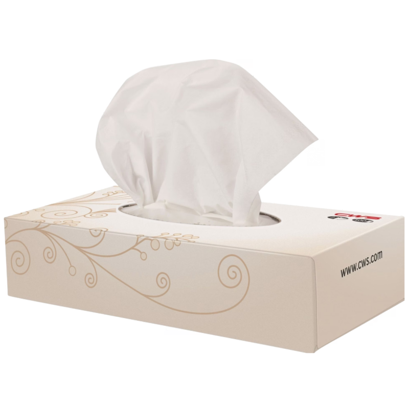 CWS Zellstoff-Kosmetiktücher Tissue Box, 2-lagig (20x100 Blatt)
