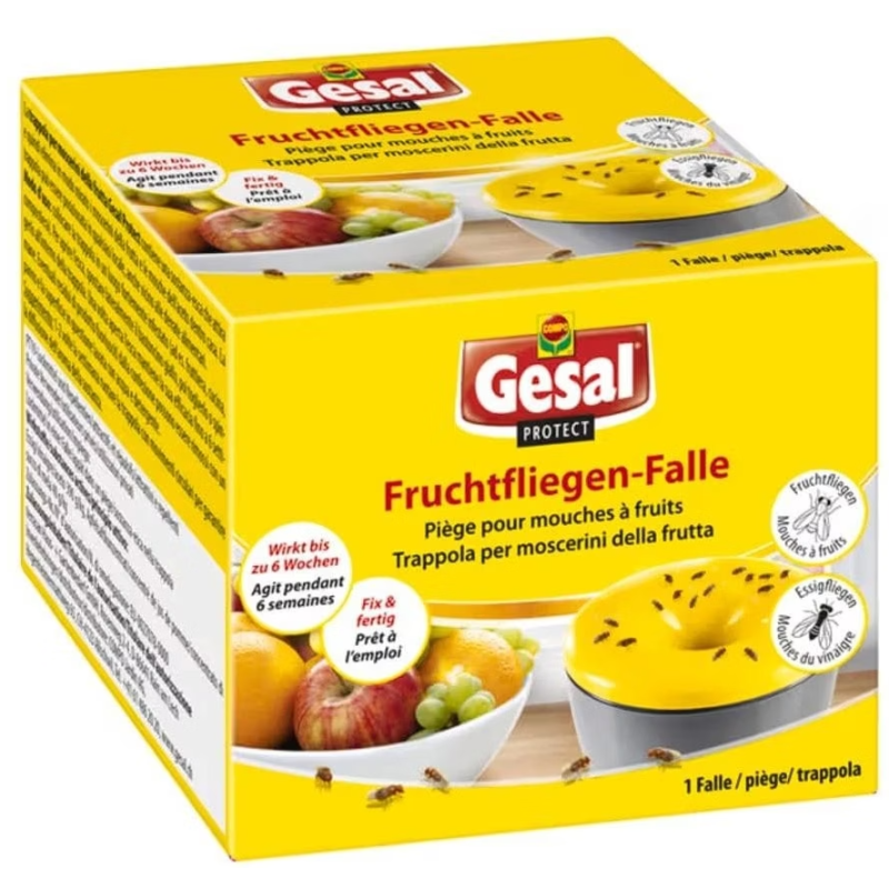 Gesal Protect Fruchtfliegen-Falle (1 Stk)