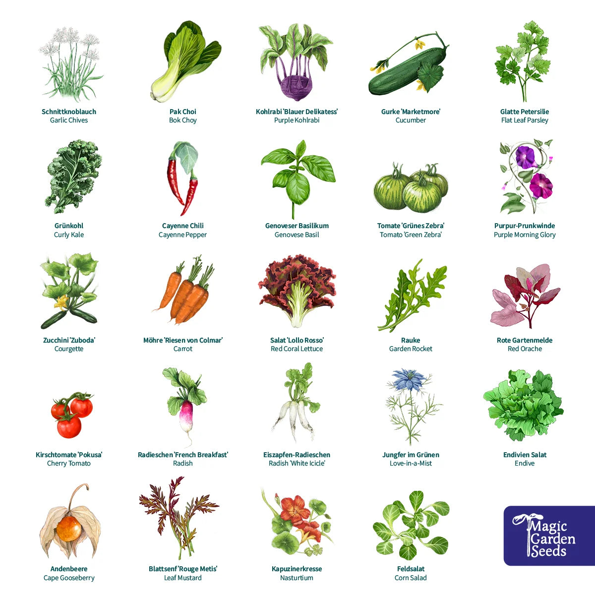 Magic Garden Seeds Bio-Saatgut-Adventskalender Magische Zeit - Urbanes Gartenglück (1 Stk)