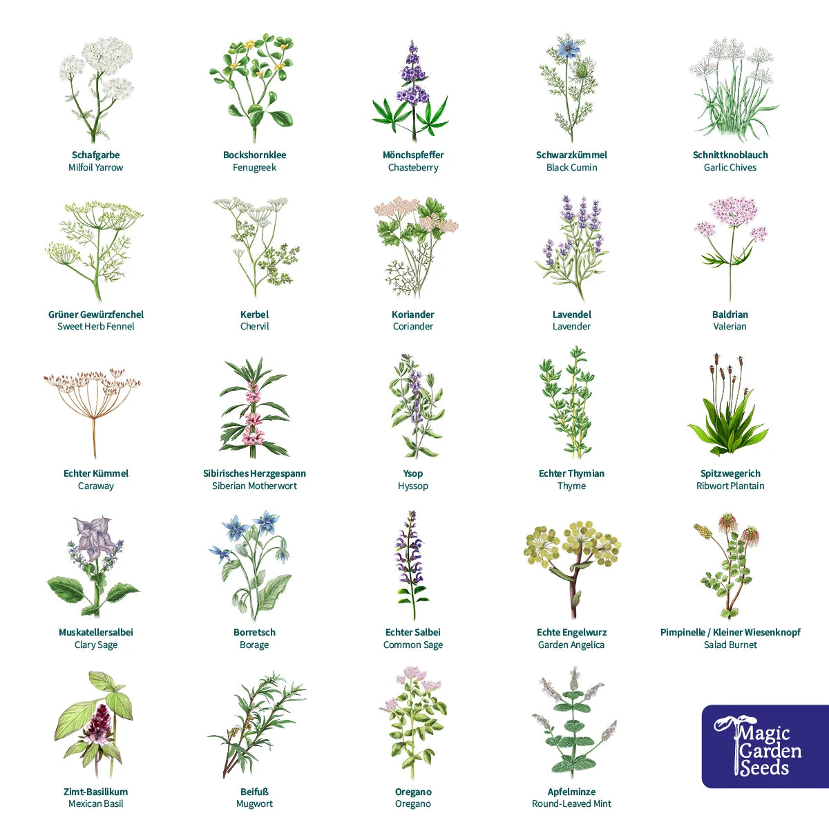 Magic Garden Seeds Bio-Saatgut-Adventskalender Magische Zeit - Wundersame Kräuterwelt (1 Stk)