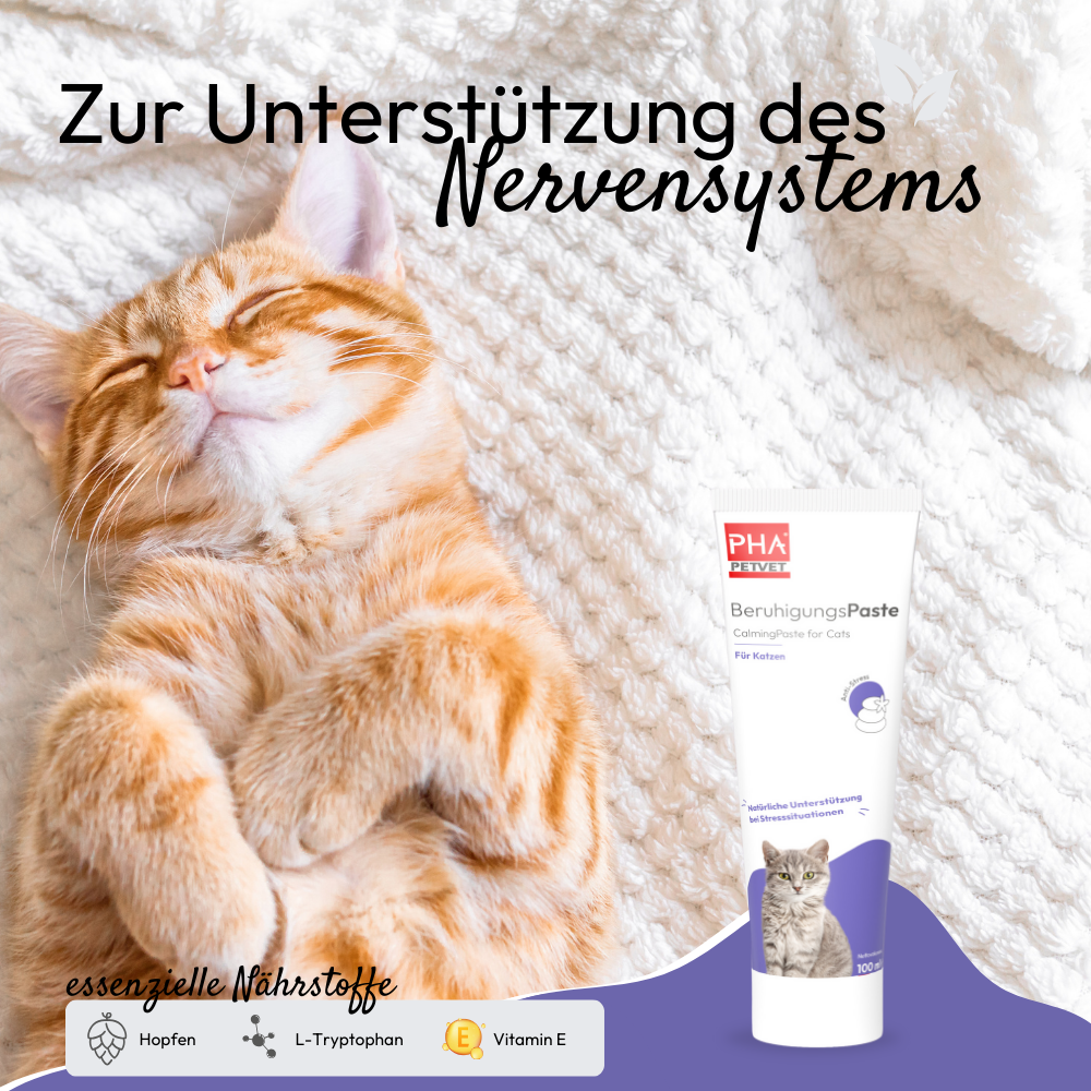 PHA Beruhigungspaste für Katzen (100ml)