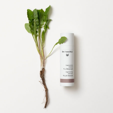 Dr. Hauschka Regeneration Intensiv Nachtserum (30ml)