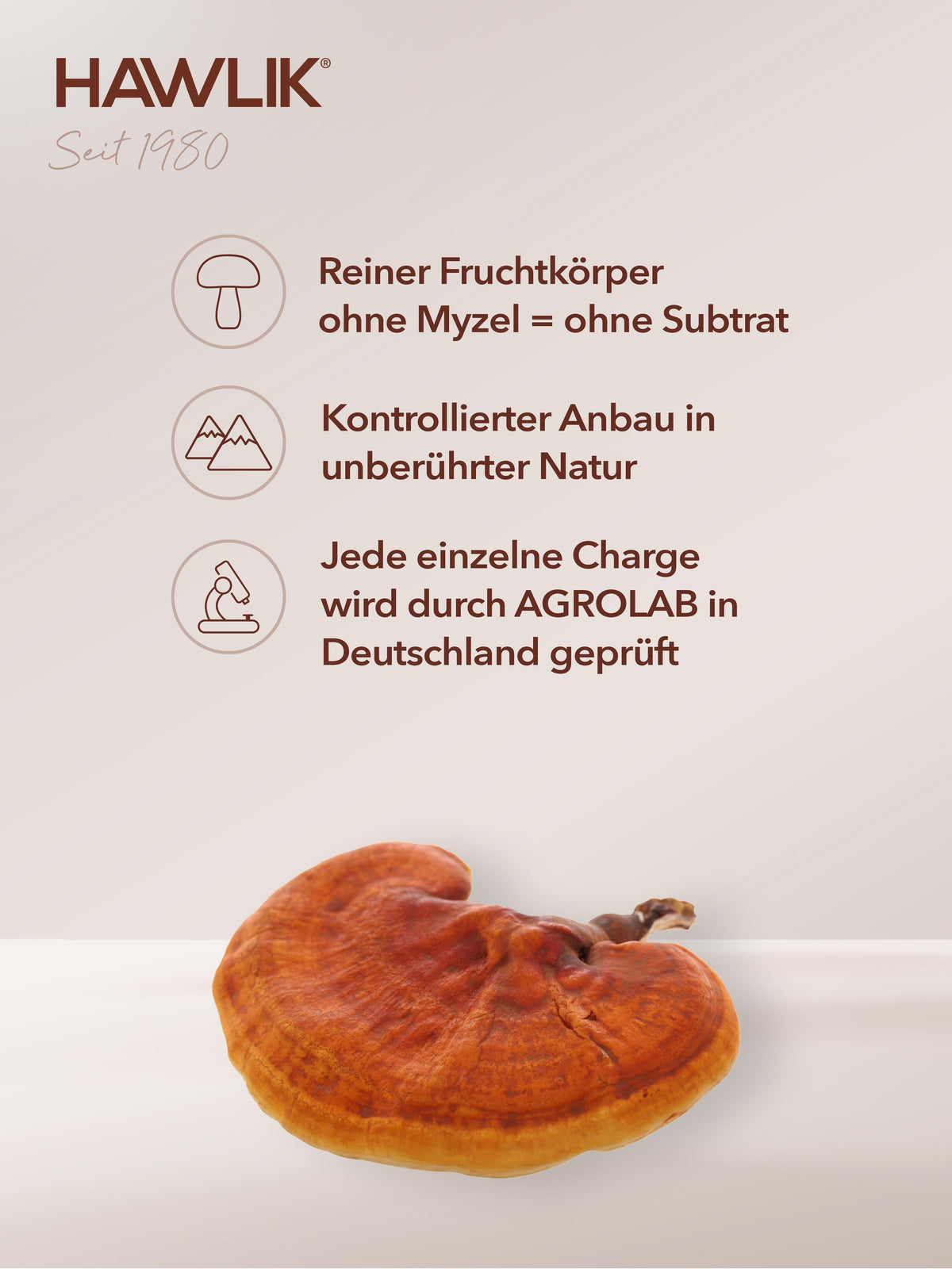 HAWLIK Reishi Extrakt Kapseln (60 Stk)