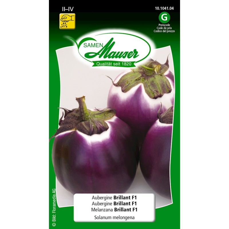 Samen Mauser Aubergine Brillant F1 Saatkörner (10 Stk)