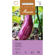 Samen Mauser Aubergine Steak F1 Saatkörner (10 Stk)