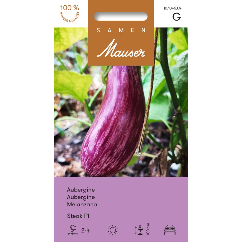 Samen Mauser Aubergine Steak F1 Saatkörner (10 Stk)