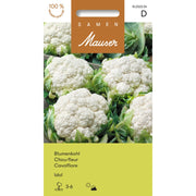 Samen Mauser Blumenkohl Idol (1g)