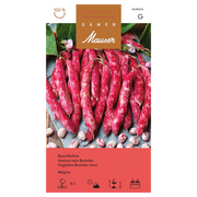 Samen Mauser Buschbohne Magico Feuerzunge (60g)