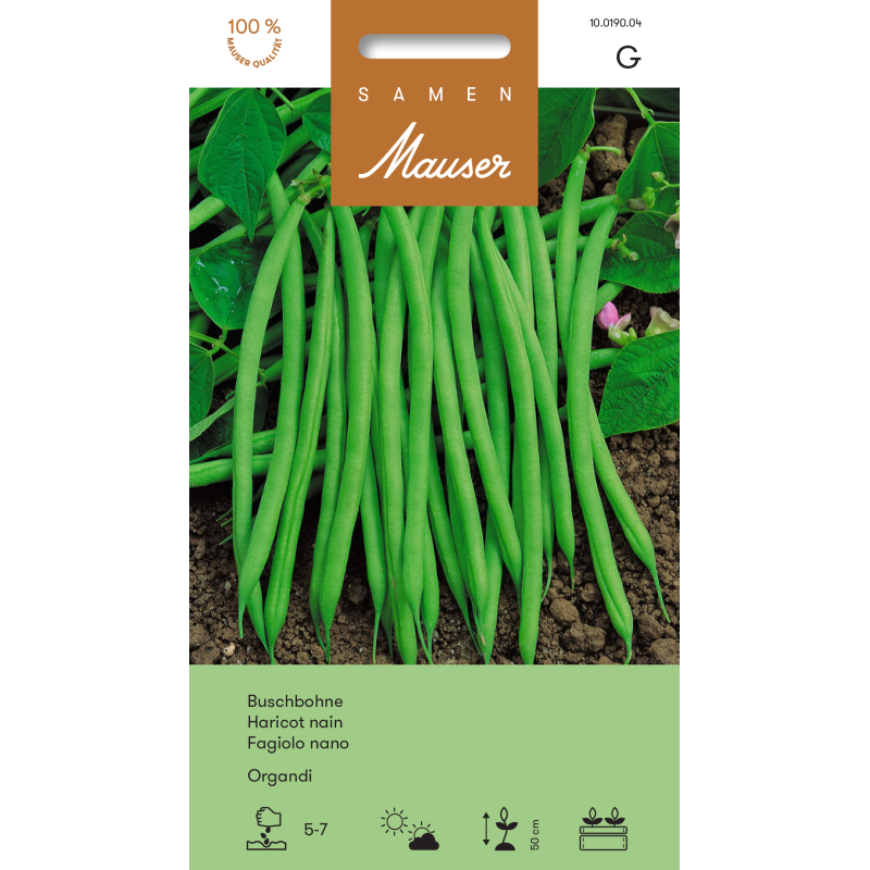 Samen Mauser Buschbohne Organdi (60g)