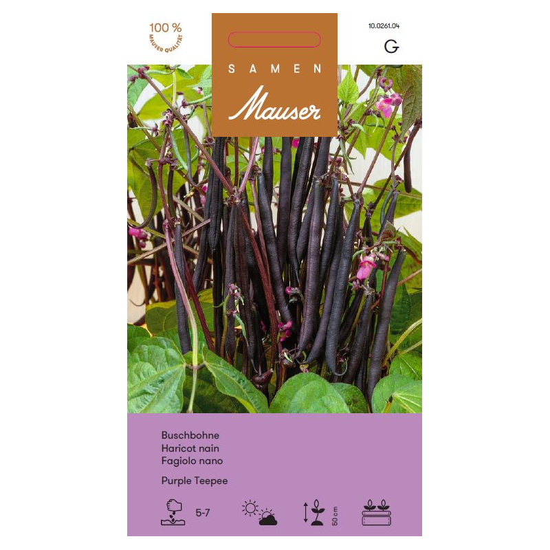 Samen Mauser Buschbohne Purple Teepee (60g)