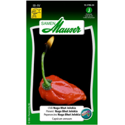 Samen Mauser Chili Naga Bhut Jolokia Saatkörner (6 Stk)
