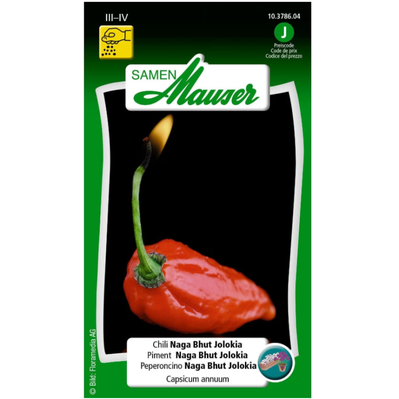 Samen Mauser Chili Naga Bhut Jolokia Saatkörner (6 Stk)
