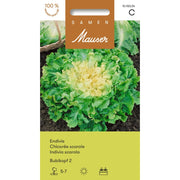 Samen Mauser Endivie Bubikopf 2 (2.5g)