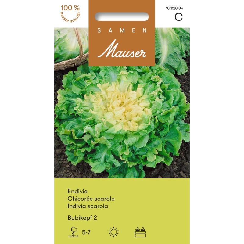 Samen Mauser Endivie Bubikopf 2 (2.5g)
