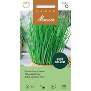 Samen Mauser feiner Schnittlauch (1g)