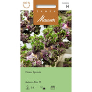 Samen Mauser Flower Sprouts Autumn Star Saatkörner (20 Stk)