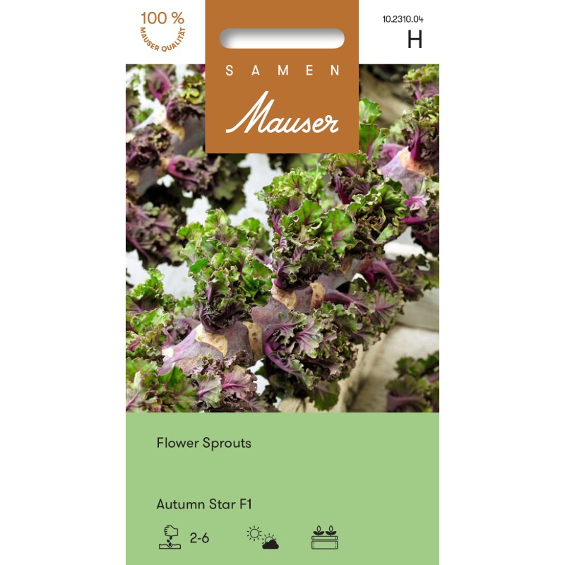 Samen Mauser Flower Sprouts Autumn Star Saatkörner (20 Stk)