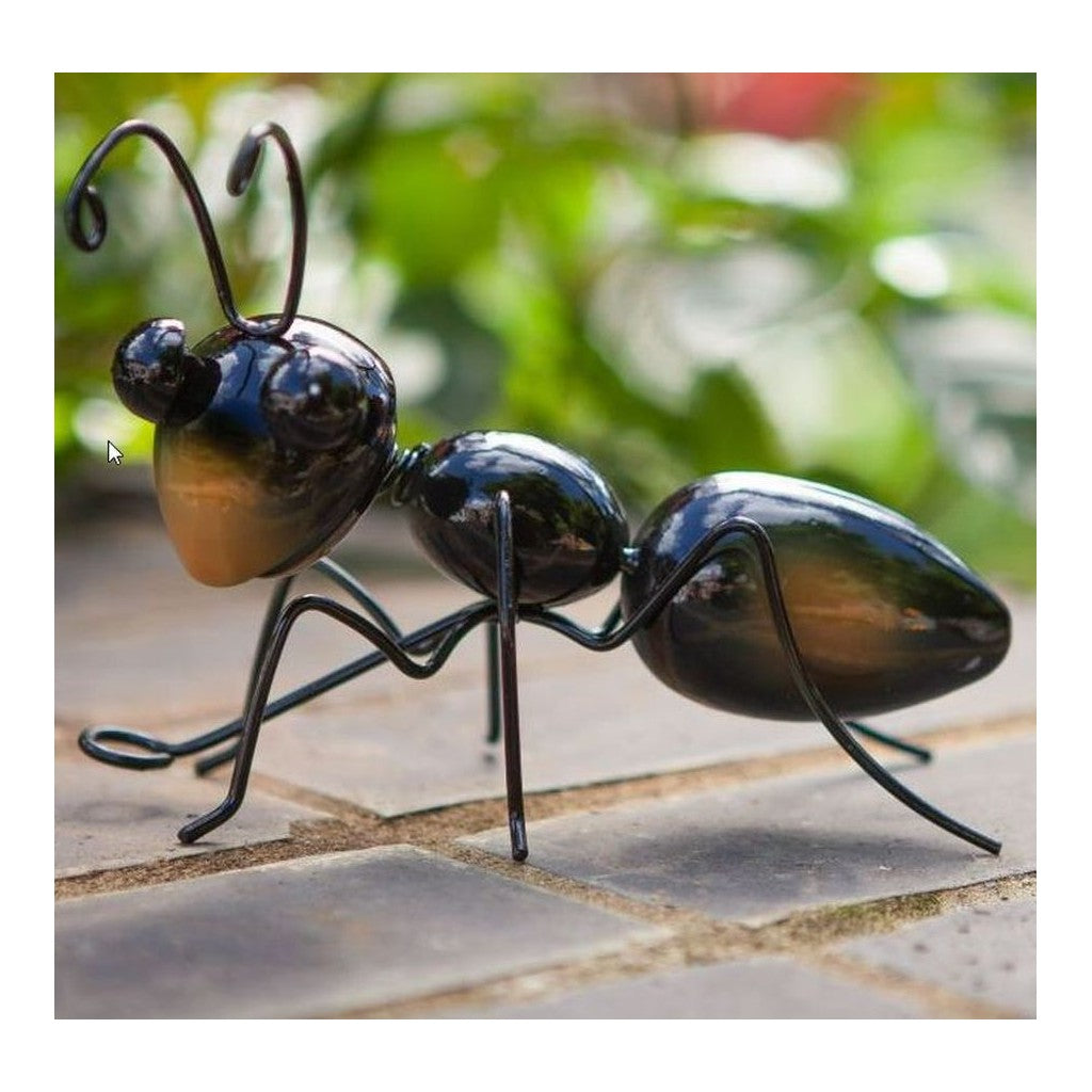 Samen Mauser Hangers on Ants, gross, 20x10x15cm (1 Stk)