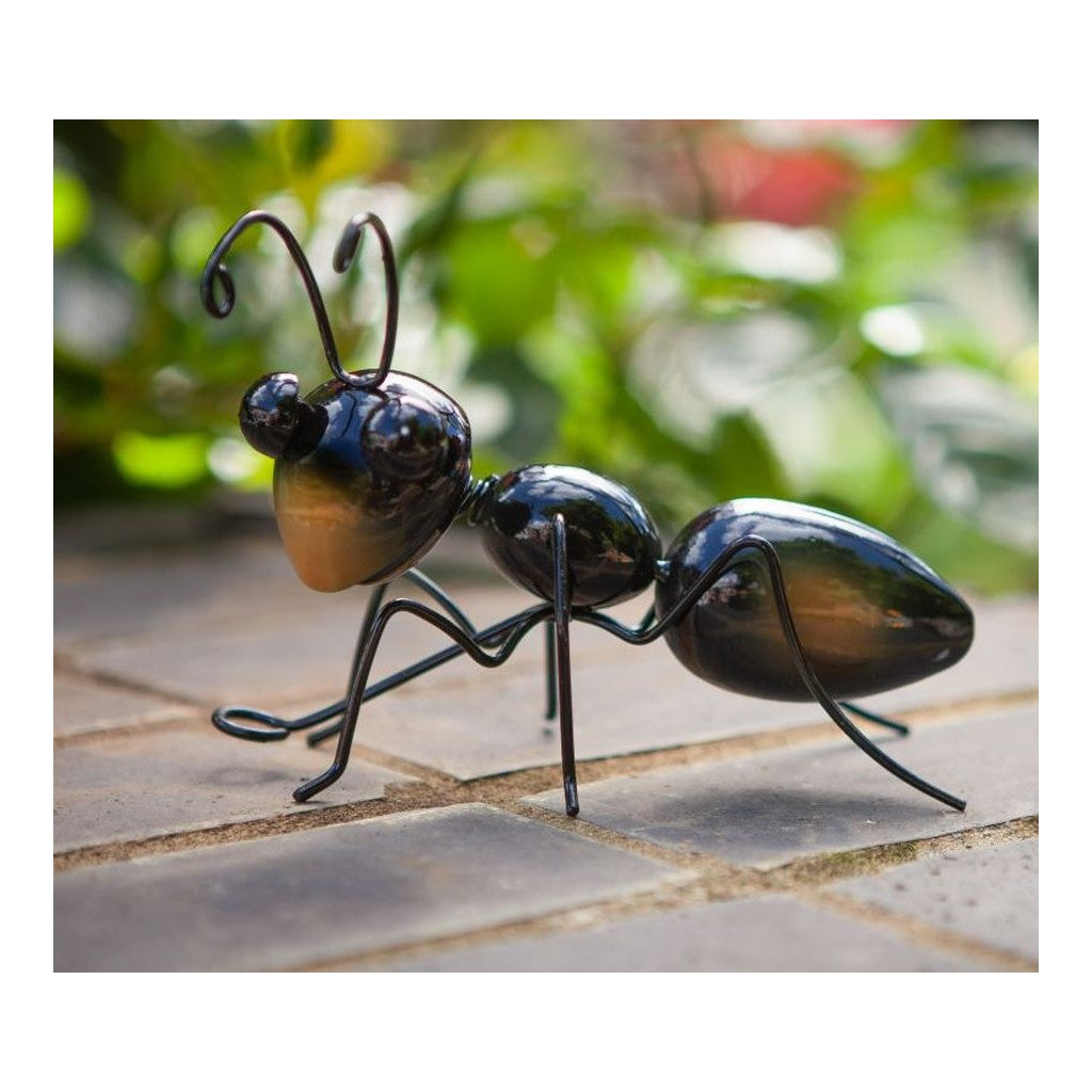 Samen Mauser Hangers on Ants, medium, 14x8x13cm (1 Stk)