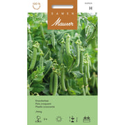 Samen Mauser Knackerbse Jessy (60g)
