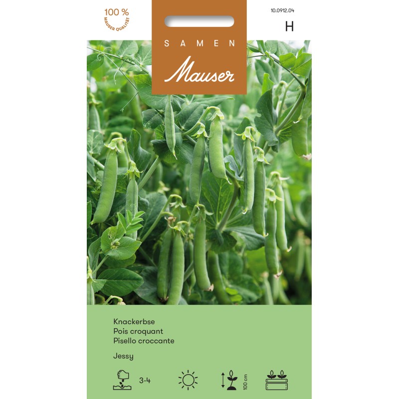 Samen Mauser Knackerbse Jessy (60g)