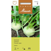 Samen Mauser Kohlrabi Lanro (1g)