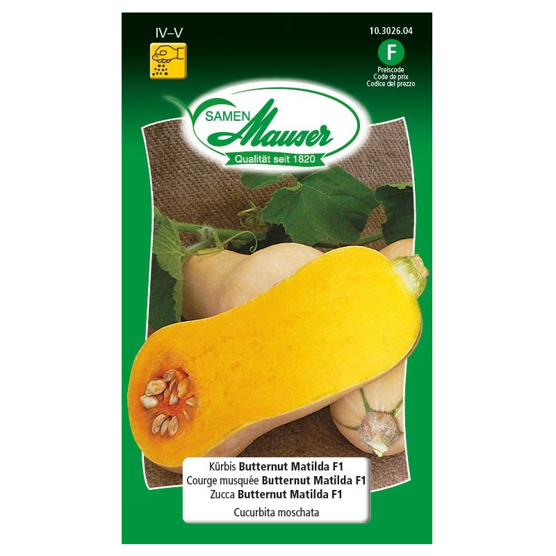 Samen Mauser Kürbis Butternut Matilda F1 Saatkörner (10 Stk)