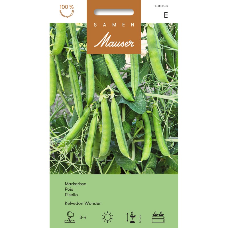 Samen Mauser Markerbse Kelvedon Wonder (60g)