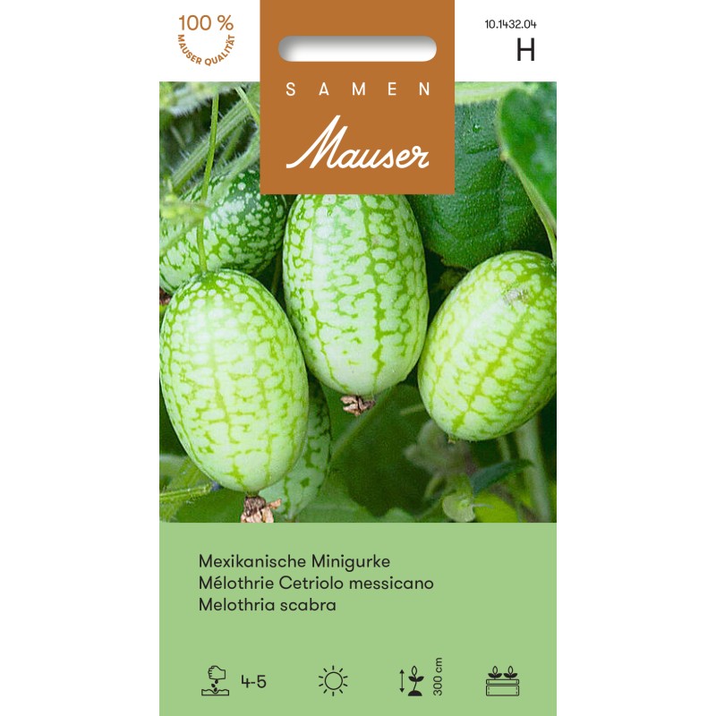 Samen Mauser Mexikanische Minigurke Saatkörner (15 Stk)