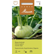 Samen Mauser Riesen-Kohlrabi Superschmelz (1g)