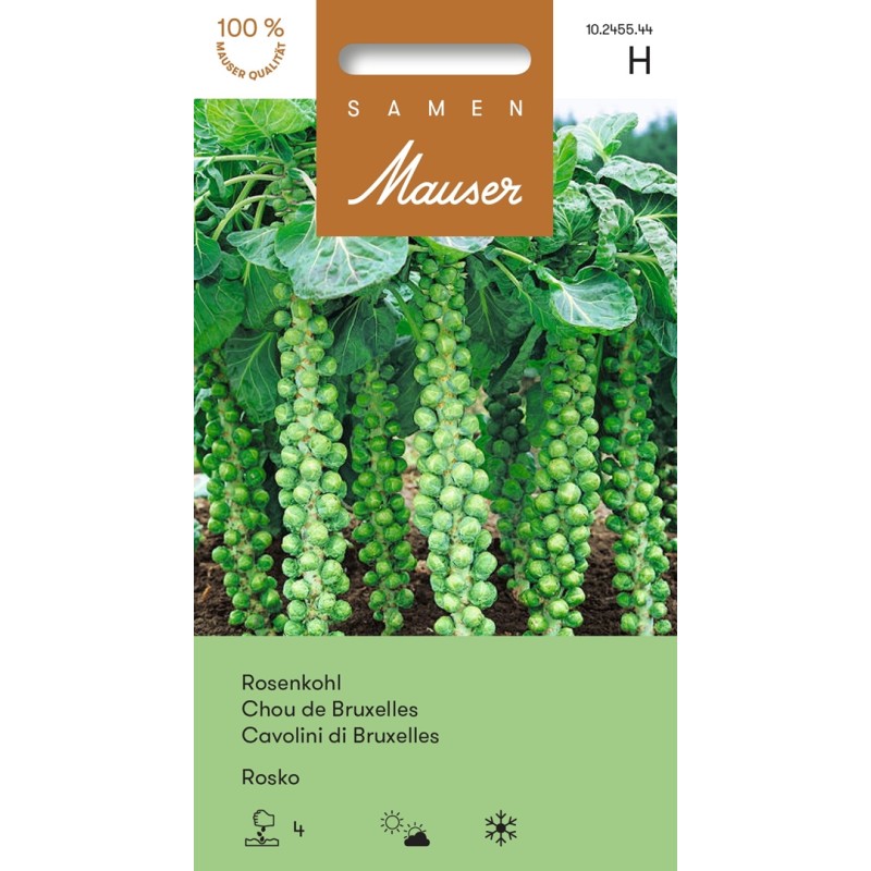 Samen Mauser Rosenkohl Rosko (0.3g)