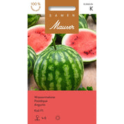 Samen Mauser Wassermelone Kali F1 Saatkörner (10 Stk)