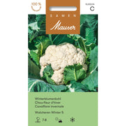 Samen Mauser Winterblumenkohl Walcheren Winter 5 (0.5g)