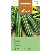 Samen Mauser Zucchetti Toscana F1 (15 Stk)