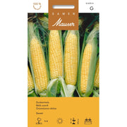 Samen Mauser Zuckermais Sweet (20g)
