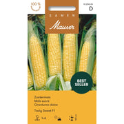 Samen Mauser Zuckermais Tasty Sweet (10g)