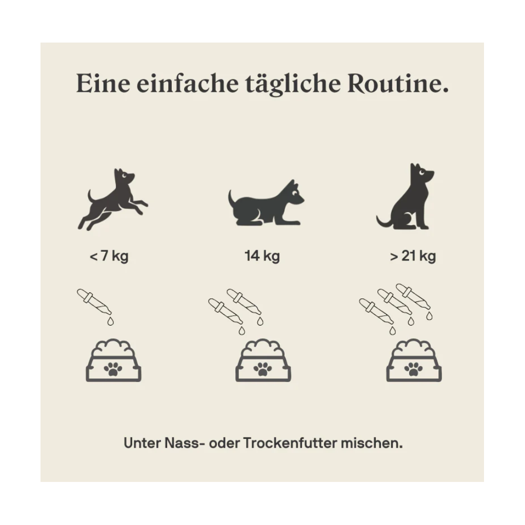 Stylla Calmness für Hunde (30ml)