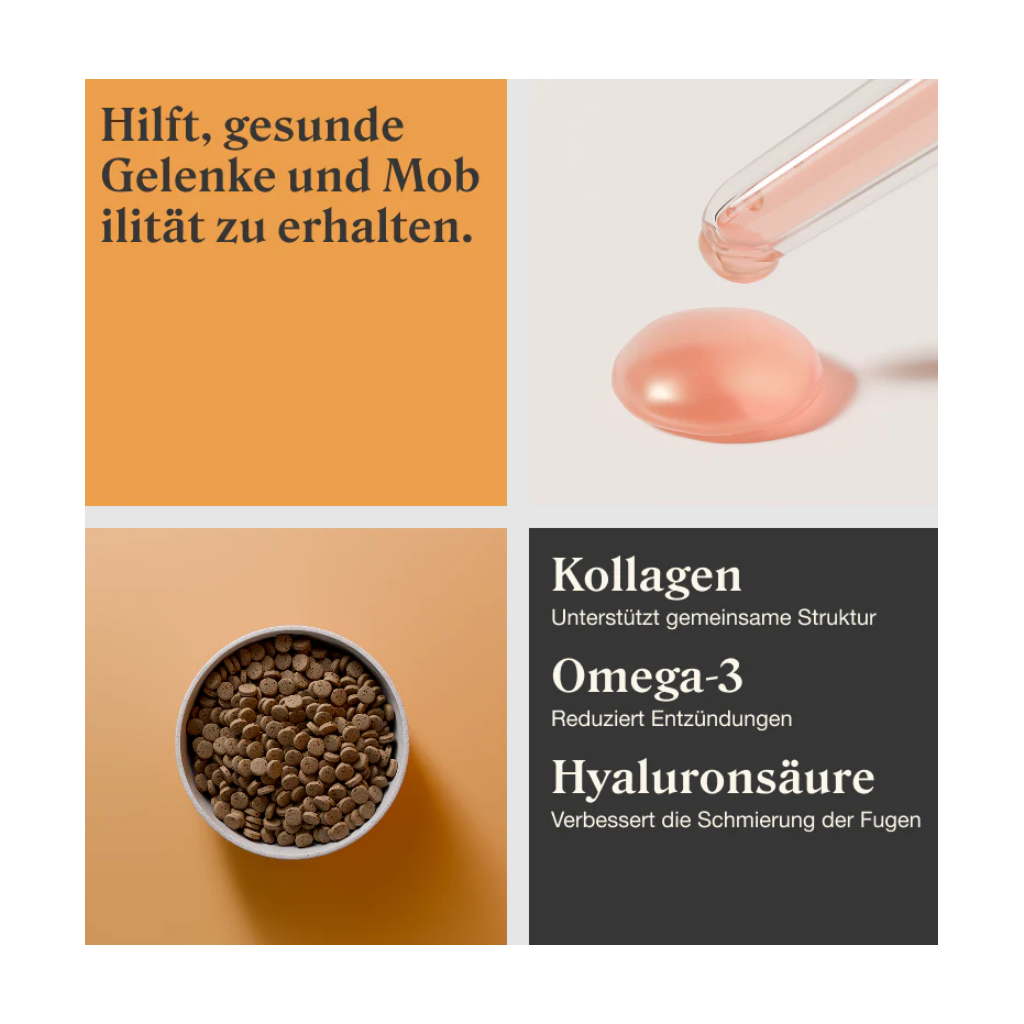 Stylla Mobility für Hunde (30ml)