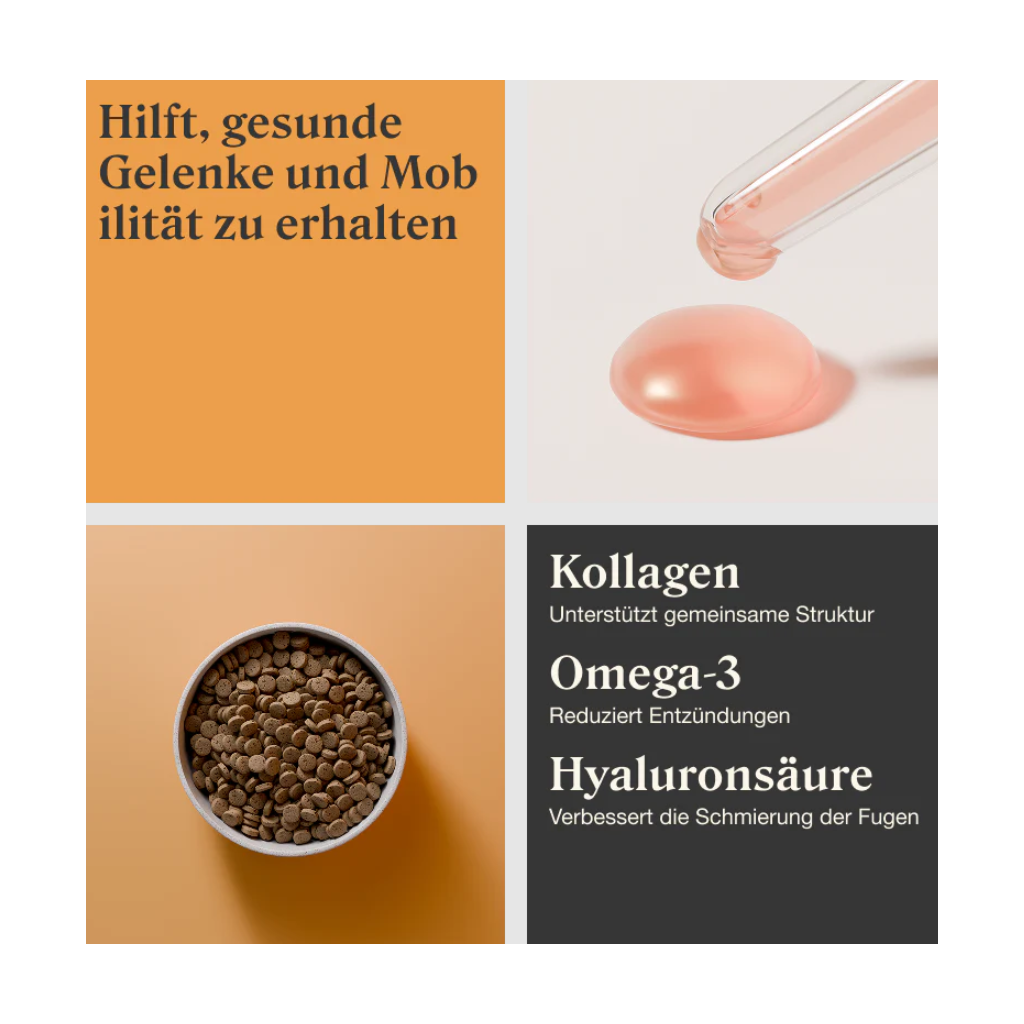 Stylla Mobility für Katzen (30ml)