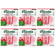 waterdrop x Ricola Drink Cubes Granatapfel Minze (6x12 Stk)