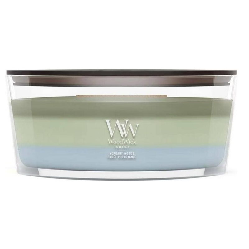 WoodWick Ellipse Verdant Woods Duftkerze (454g)