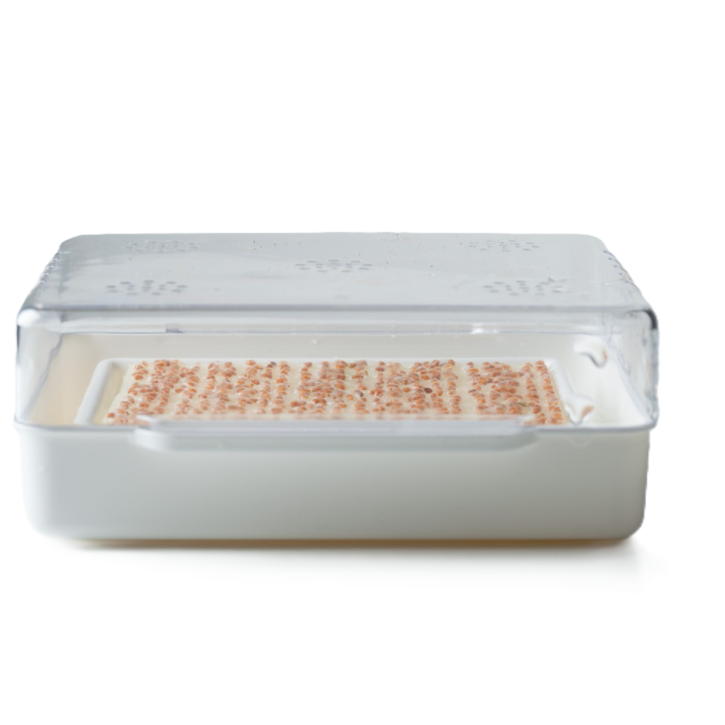 Wyss Garten Cresspad RadiesCress Bio (3 Stk)