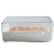 Wyss Garten Cresspad SenfCress Bio (3 Stk)
